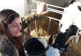 Secteur professionnel : Métiers Animaliers et Elevage